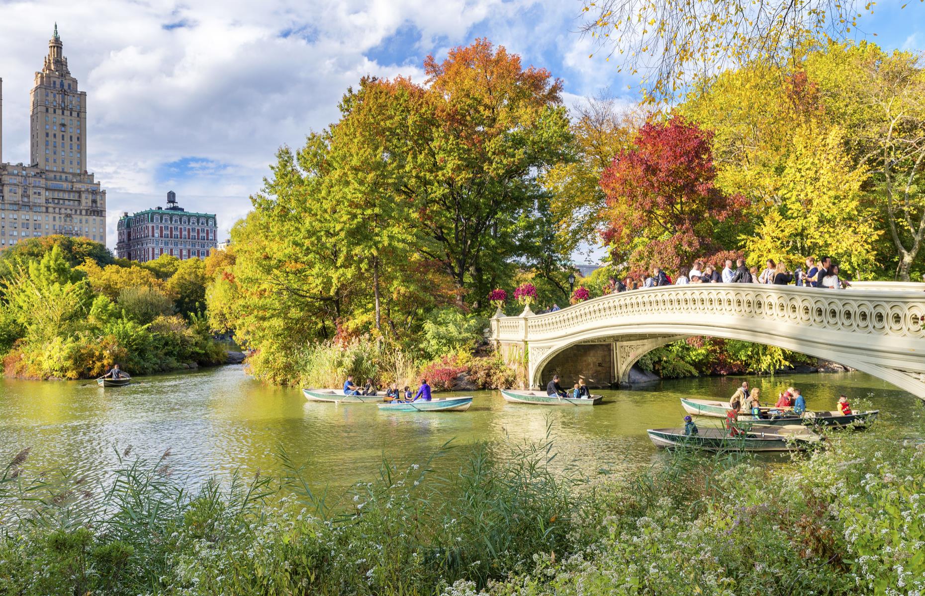 Now: Central Park, New York 